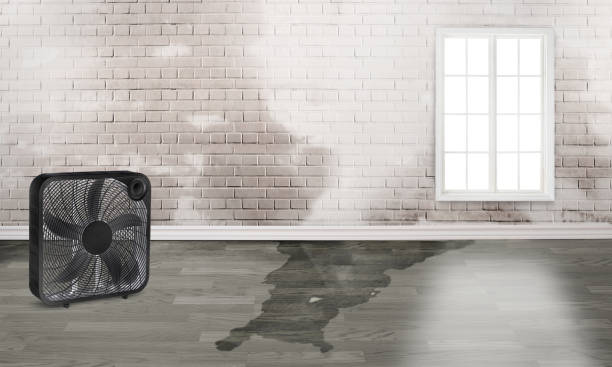 Best Emergency water damage restoration  in Utqiagvik, AK